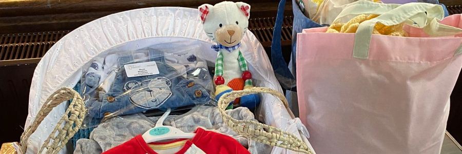 header image of moses basket